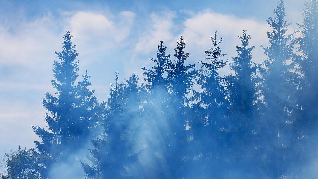Kuvituskuva. Maastopalo oli myöhään keskiviikkona paikallista aikaa noin 15 kilometrin päässä Yellowknifesta.