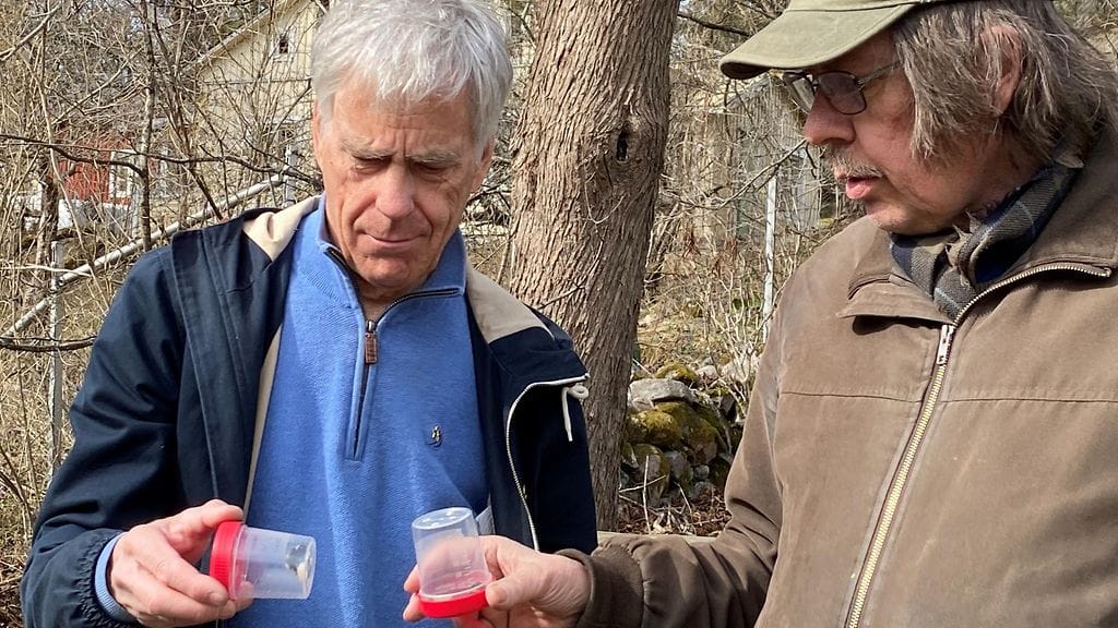 Kimalaiset, pölyttäjät, Arto Koljonen (vas.) ja Erkki Kaarnama