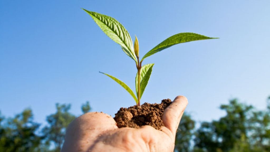 Ylilääkäri pitää kuntoutusta tärkeänä työkyvyn palauttajana. Kuvituskuva.