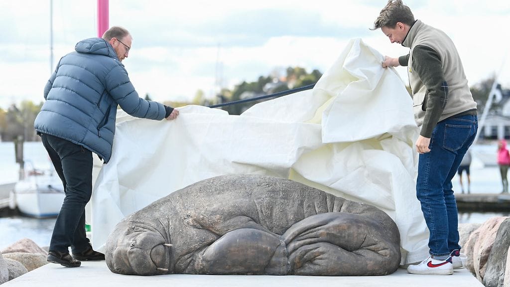 AOP, freya mursu (1)