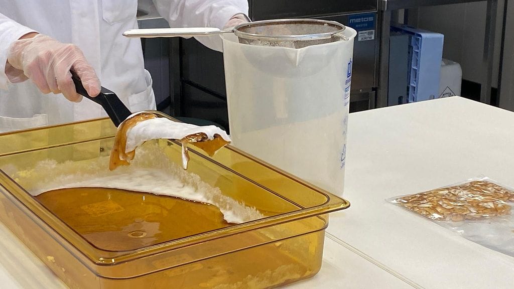 Sieniproteiini, sienirihmasto