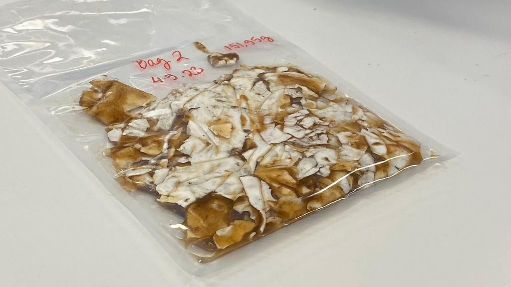 Sieniproteiini, sienirihmastot, tutkimus