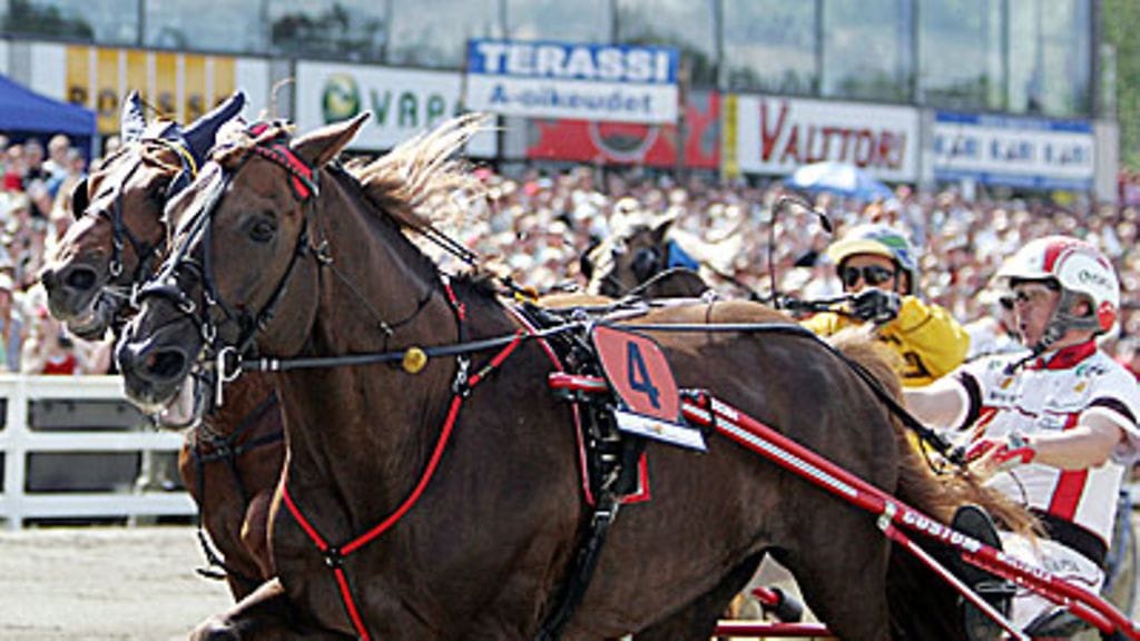 Saran Salama Jyväskylässä. Kuva: Juha Sorri/LEHTIKUVA.