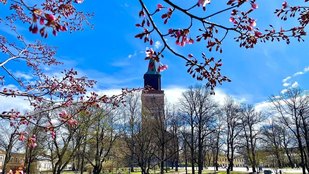 Juhani Peltonen ikuisti keväisen kuvan Turun tuomiokirkosta.