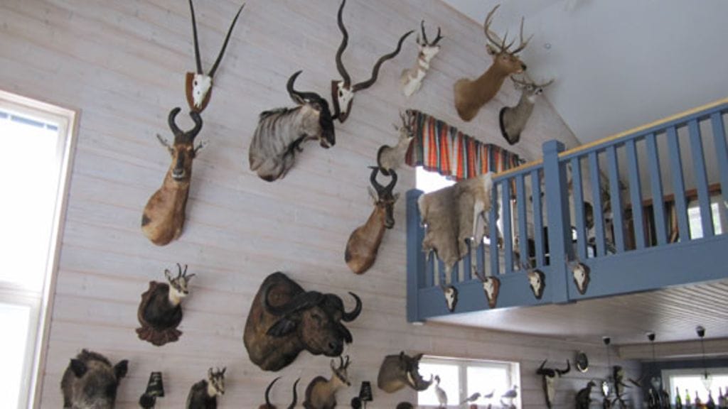 Sinisalon seinällä edustavat maailman riistamaat.