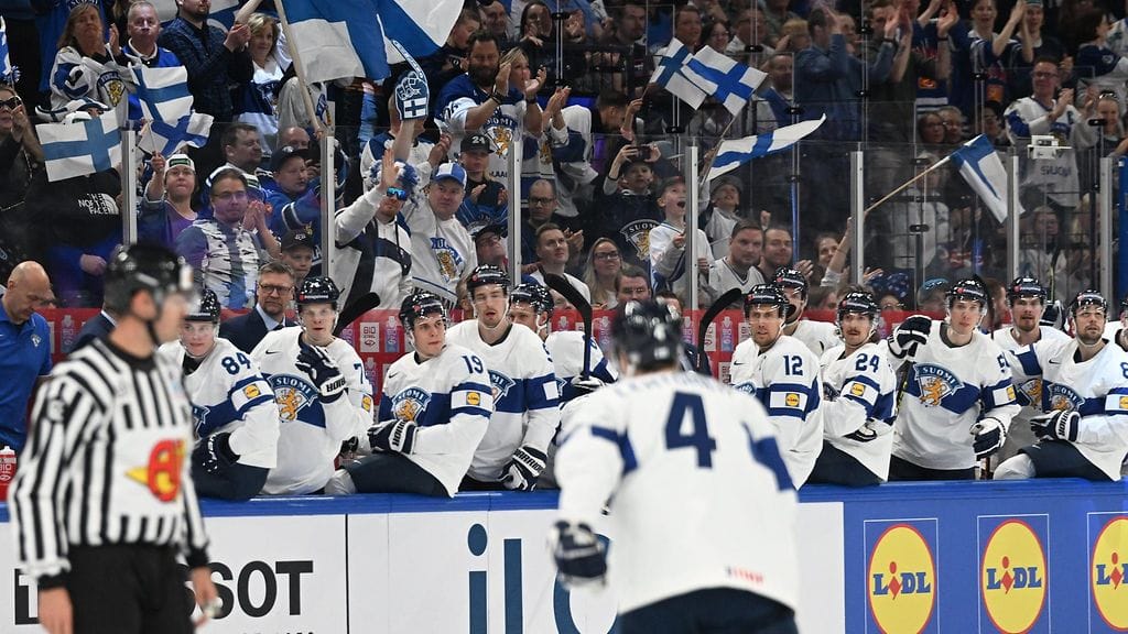 Leijonat juhlii.