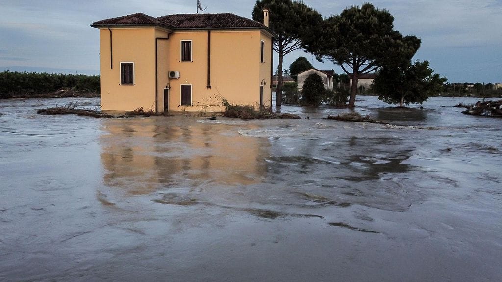 Maatalouden Confagricoltura-etujärjestön mukaan ainakin kymmenen miljoonaa hedelmäpuuta tuhoutui tulvissa.