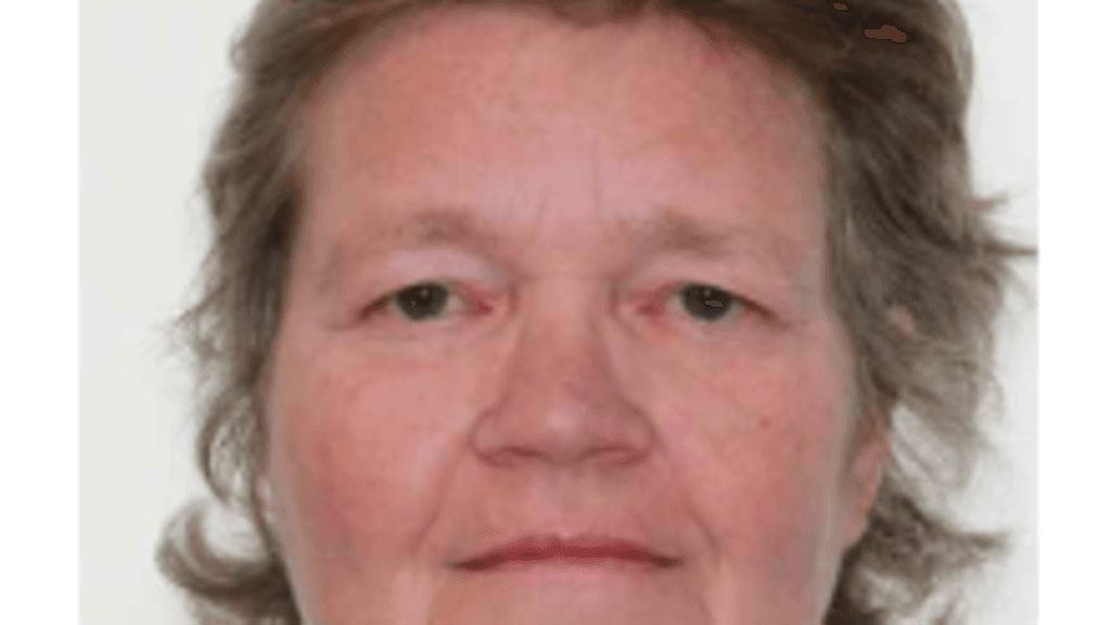 Poliisi on julkaissut kuvan Maalahdelle kadonneesta naisesta.