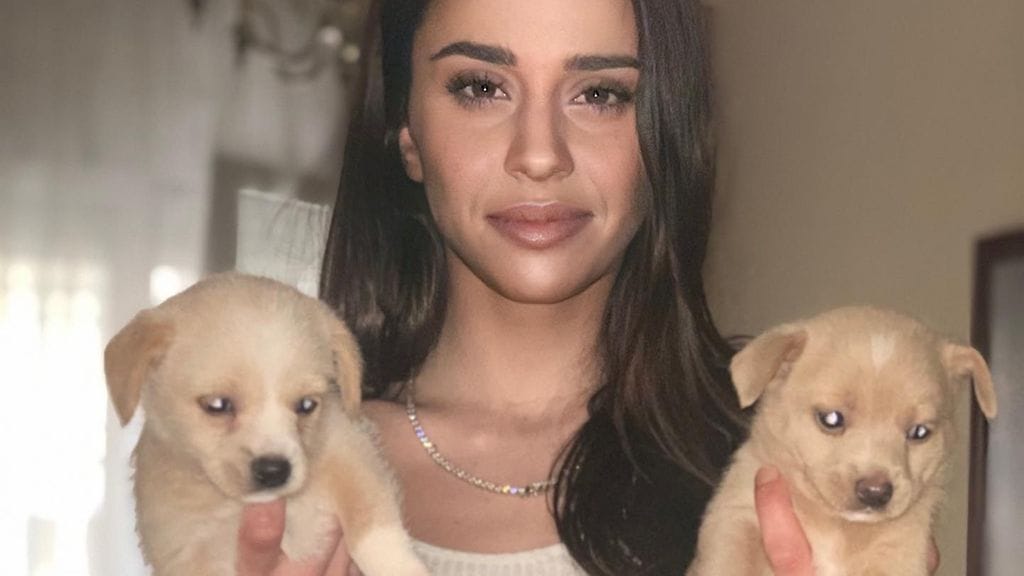 73034843_941798019538876_2944450211713384448_n