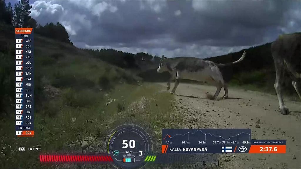 "Siellä on lehmiä!" – Kalle Rovanperältä huima väistöliike hirmuvauhdissa