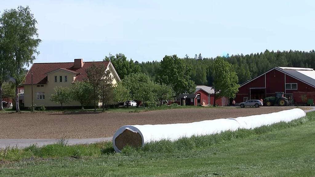 Janne ja Heini Suokannas (1)