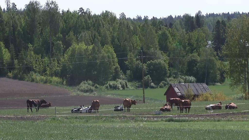 Janne ja Heini Suokannas (2)