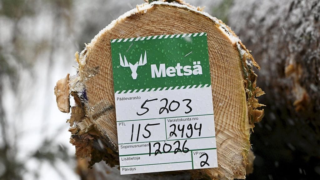 Puutehtaan rakennusvaiheen työllisyysvaikutusten arvioidaan olevan noin 1 000 henkilötyövuotta.