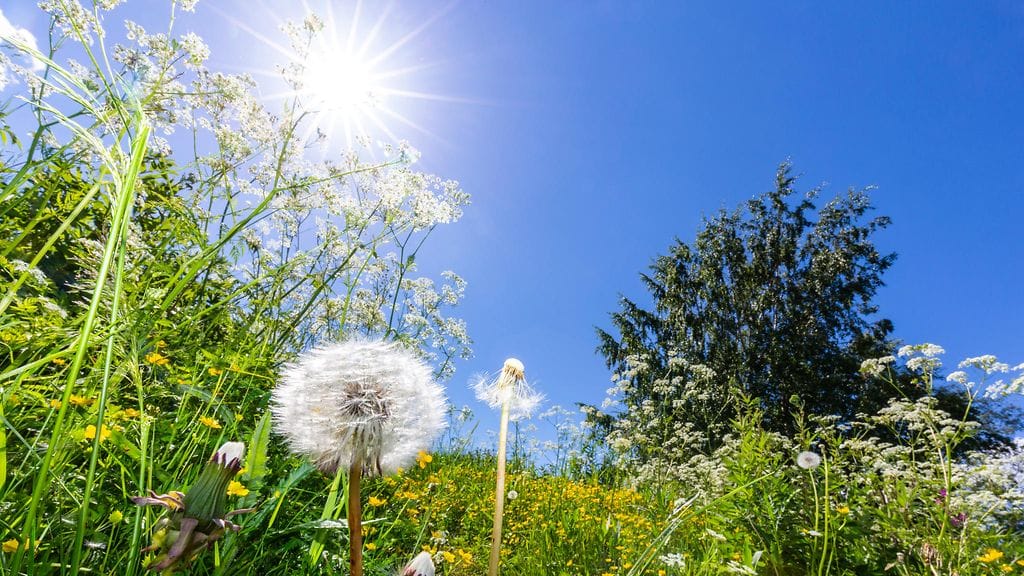 Lämpötilat nousevat keskiviikkoon verrattuna yleisesti parilla asteella.  Kuvituskuva.