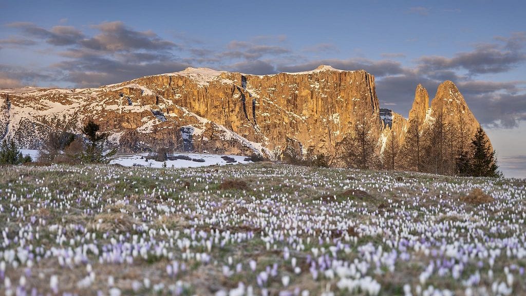 Kuvituskuva Italian Dolomiiteilta.