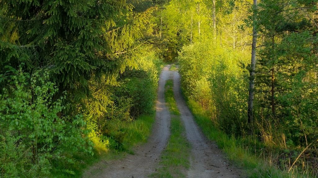 Mökille pitää löytää helposti selkeän osoitenumeron avulla. Kuvituskuva.