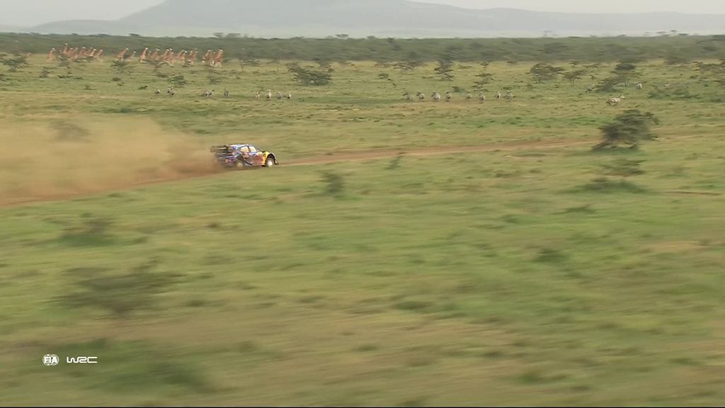 Upeaa kuvaa Safarista! Ott Tänak sai seurakseen seeprat, kirahvit ja antiloopit