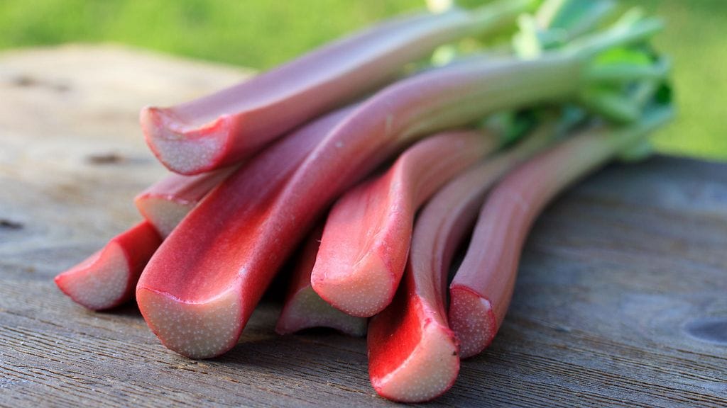 Kuvituskuva. Reseptikuva tulossa tv-lähetyksen jälkeen.