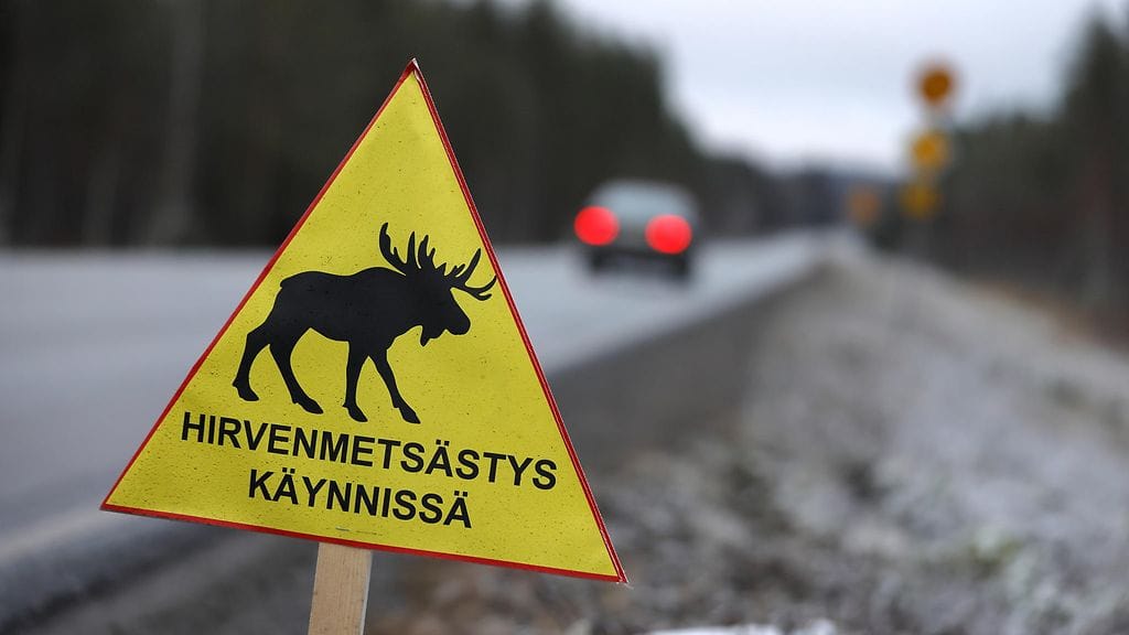 Vastaajista 69 prosenttia koki riistanlihan olevan eettisintä ja ilmaston kannalta kestävintä lihaa.