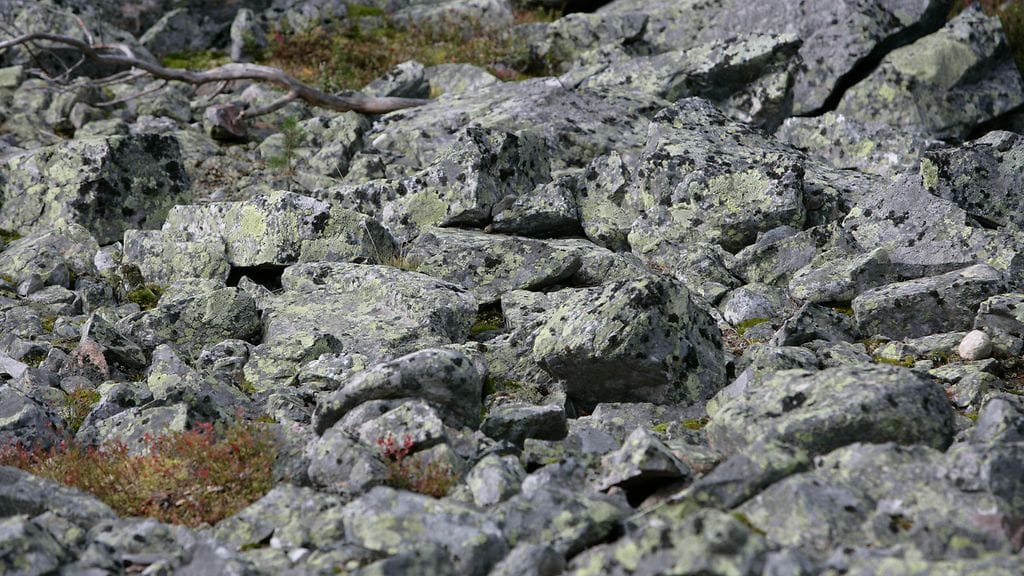 Geologian tutkimuskeskus (GTK) on jakanut kansannäytepalkinnot parhaista vuonna 2022 sekä alkuvuonna 2023 lähetetyistä kivinäytteistä. Kuvituskuvassa louhikkoa Ylläksellä Lapissa.