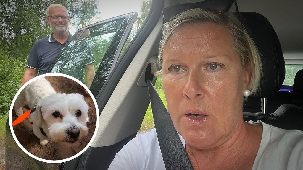 Helsinkiläiset Tapani ja Kaija Pohjala ja heidän koiransa Tyyne kokivat tänään hurjan tilanteen, kun salama iski tien päällä heidän autoonsa Kiskossa Varsinais-Suomessa.