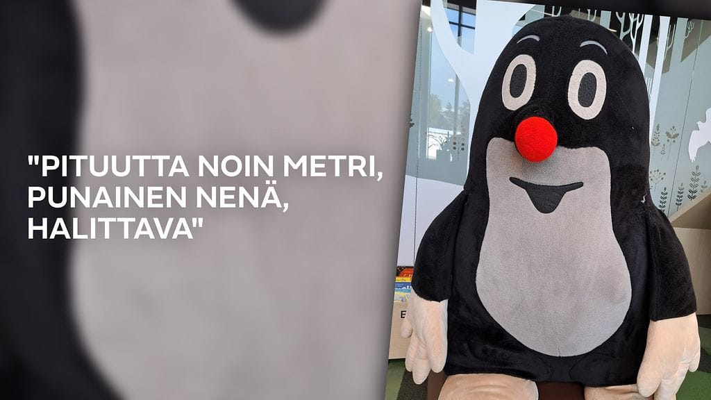 Laajasalon kirjasto julkaisi perjantaina katoamisilmoiotuksen isosta Myyrä-pehmolelusta.