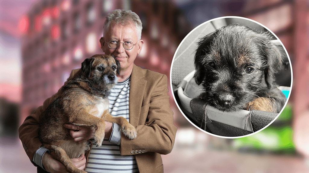 Pekka Pouta, Sini ja Suvi