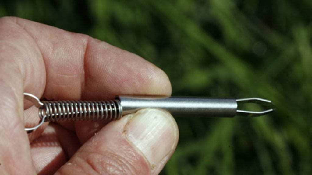 Punkin poisto onnistuu parhaiten tarkoitusta varten kehitetyillä punkkipihdeillä.