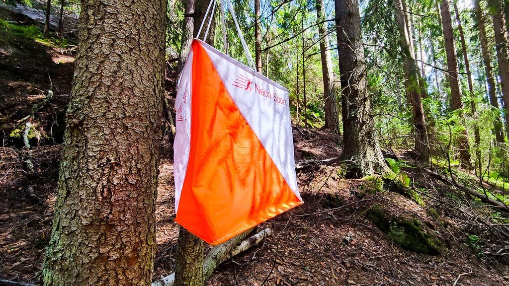 Olli Ojanaho voitti uransa ensimmäisen aikuisten arvokisamitalinsa Sveitsin Laaxissa. Kuvituskuva.