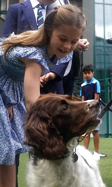 AOP prinsessa charlotte