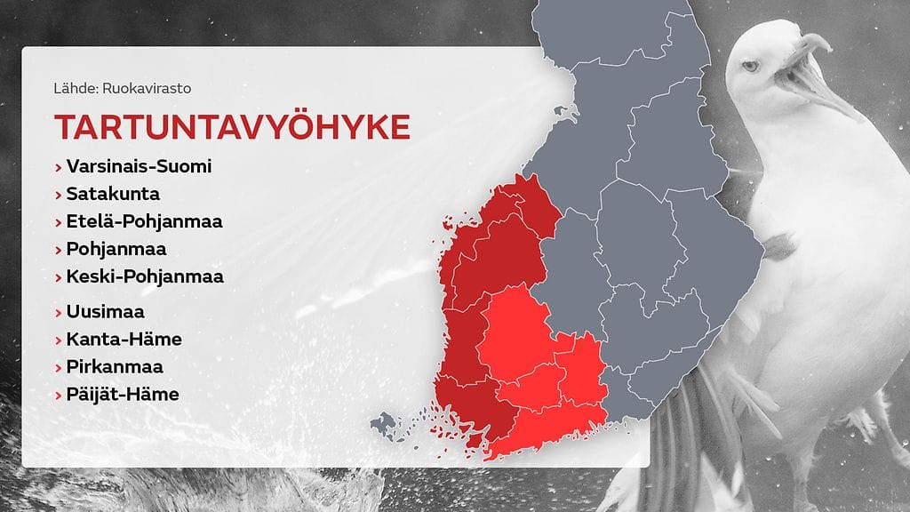 2507_1900_lintuinfluenssa_kartta_2