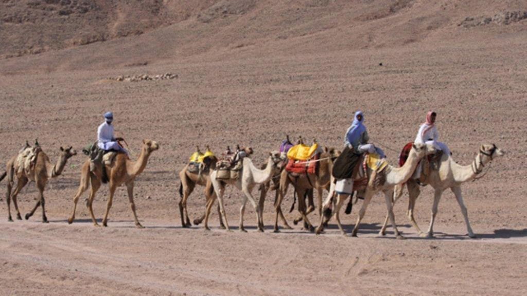 Beduiineja hiekka-aavikolla.