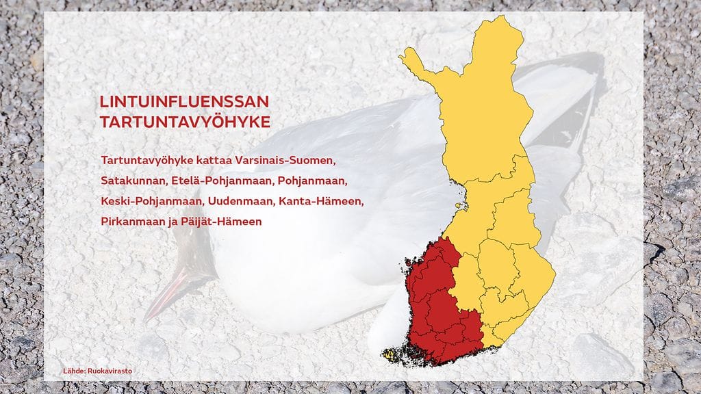 0108_lintuifluenssan_tartuntavyohyke