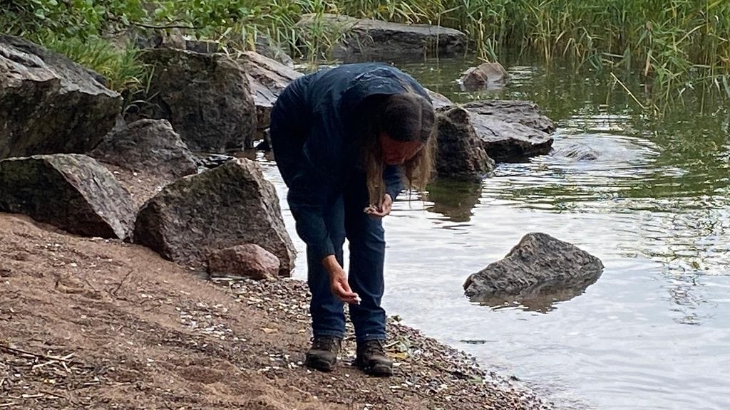 Rangiasimpukka, vieraslaji, Maiju Lehtiniemi, Syke