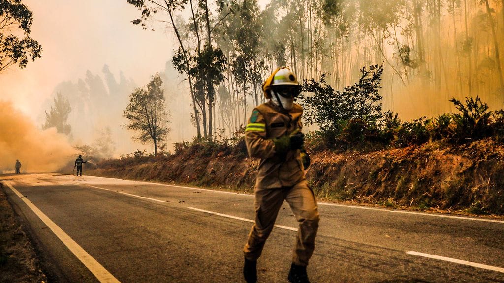 AOP, palomies portugali (1)