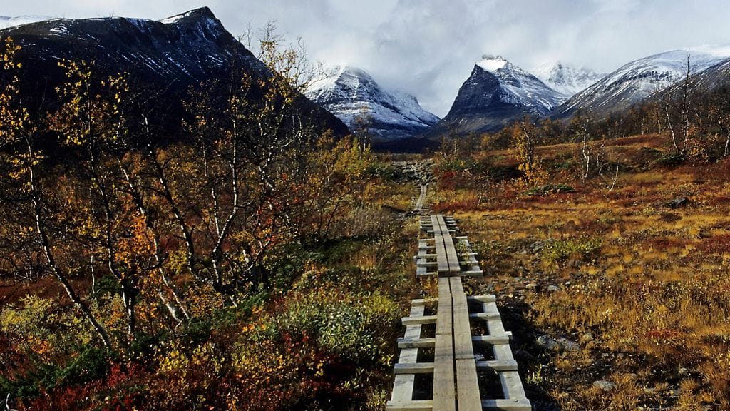 Ruotsin Kebnekaisen tunturiasema suljetaan vatsatautiepidemian vuoksi.