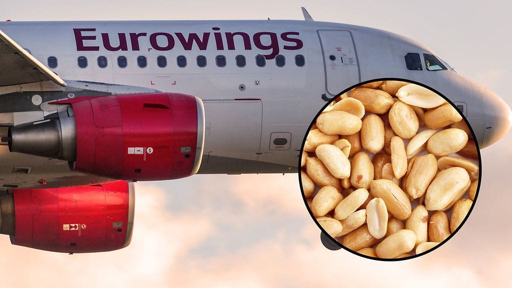 Matkustaja joutui ostamaan kaikki lennon 48 pähkinäpussia. Kuvituskuva.
