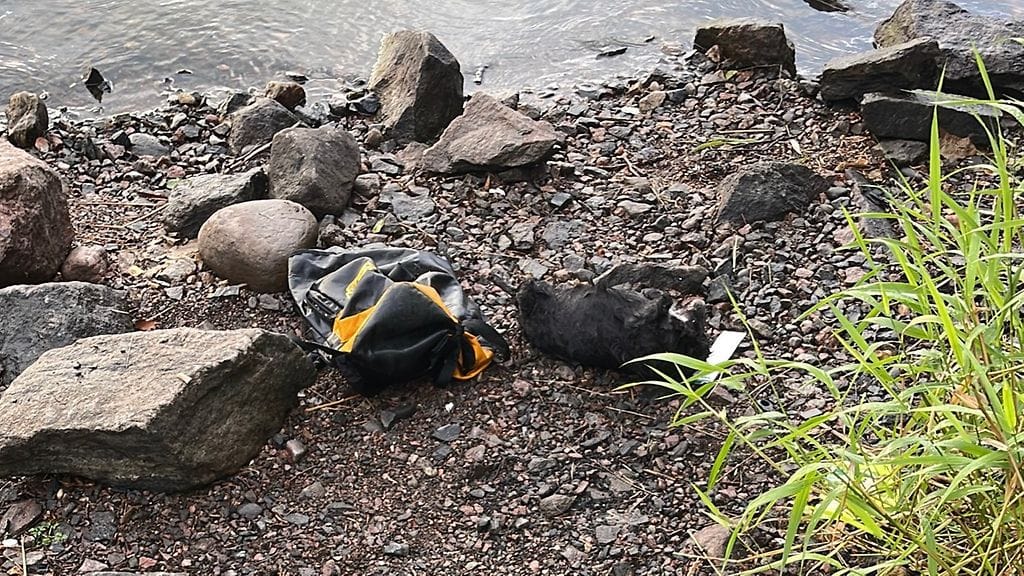 Rannalla reppu ja kuollut koira