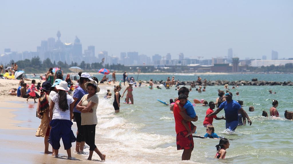 Australialaisella rannalla nähtiin tammikuussa hai – vai nähtiinkö sittenkään? Kuvituskuva.