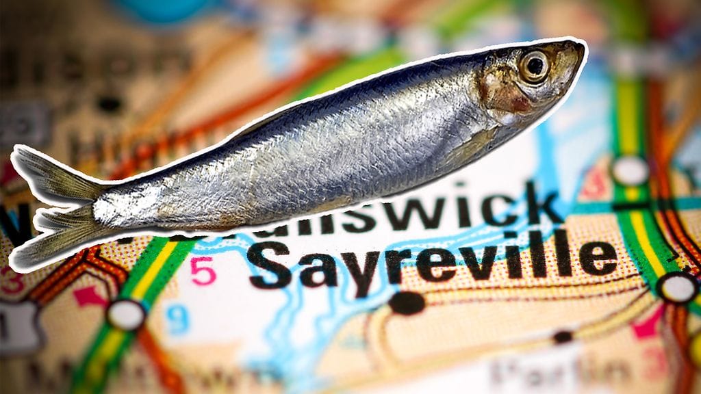 Kala aiheutti ilman omaa syytään ongelmia Sayrevillen kaupungissa.