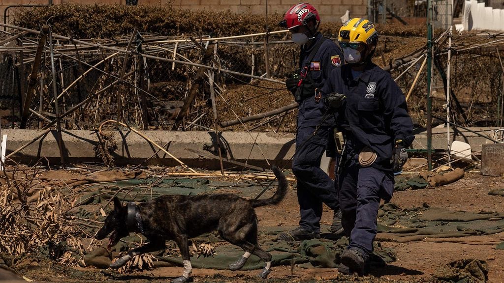 Tulipaloissa on kuollut ainakin 115 ihmistä.