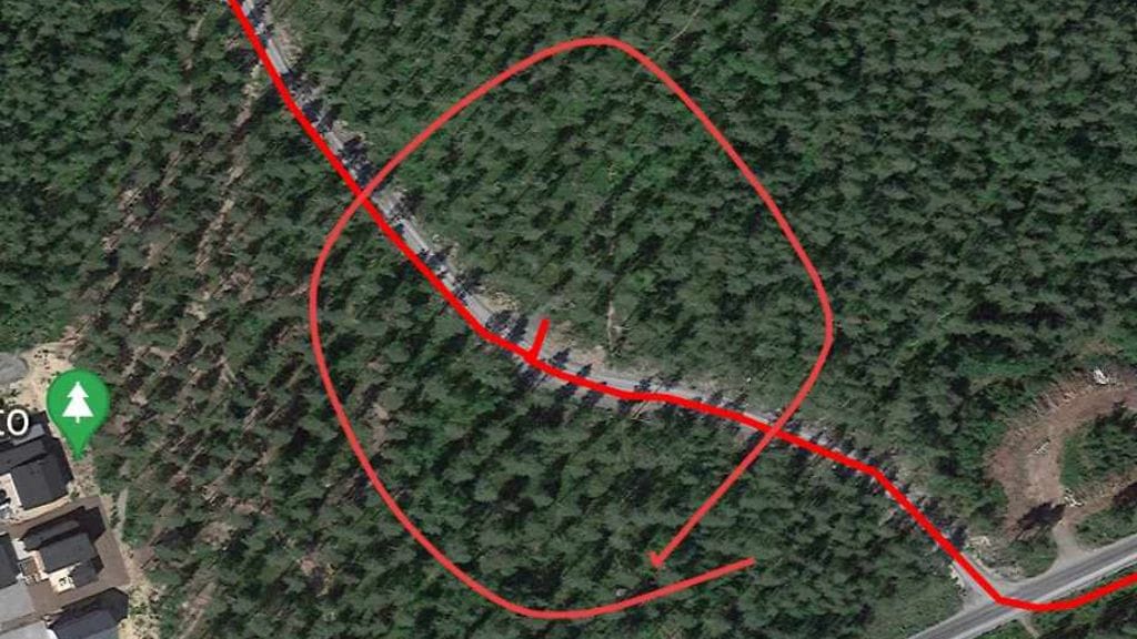 Jutilan bongaamissa roskakasoissa oli kolmen imurin ja videokasettilaatikon lisäksi esimerkiksi cd-levykoteloita.