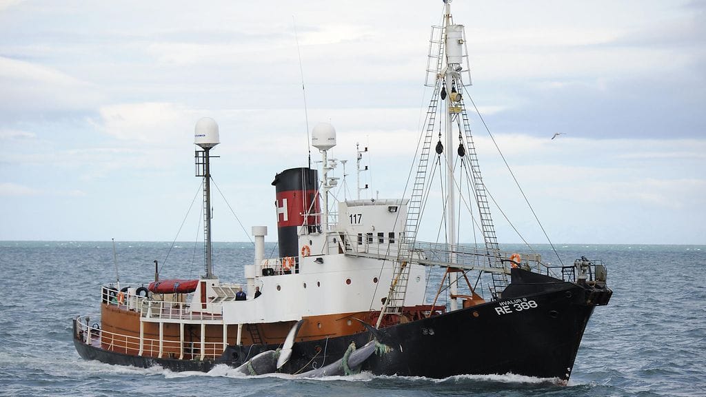 Valaanmetsästysalus.