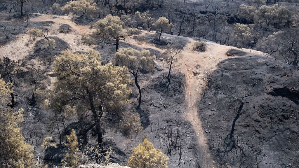 Metsäpalot ovat runnelleet pahoin luontoa Loutrakin aluetta Kreikan keskiosissa. Nyt luvassa on rankkasateita.