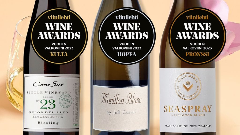 vuoden valkoviini 2023