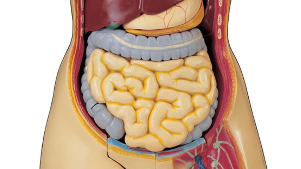 Suolihuuhtelulla epäillään olevan varjopuolia.