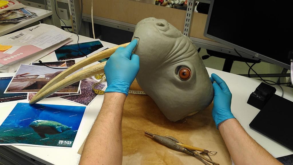 Mursun pään ja hampaiden muovailua.