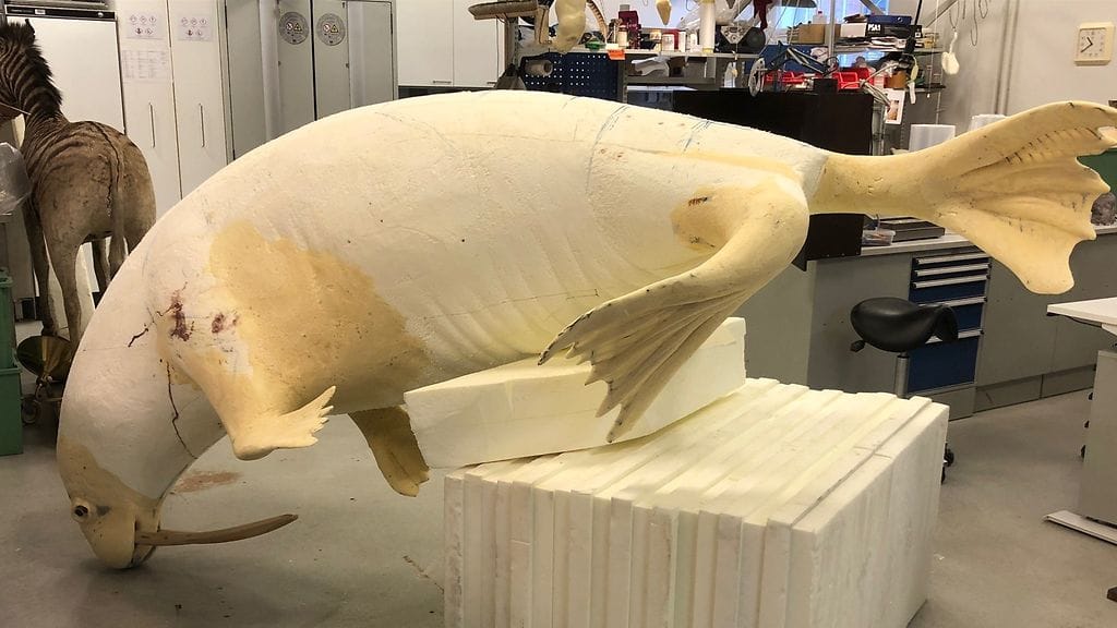 9d629ebe-48b4-4d51-bc2a-439e2545dac1