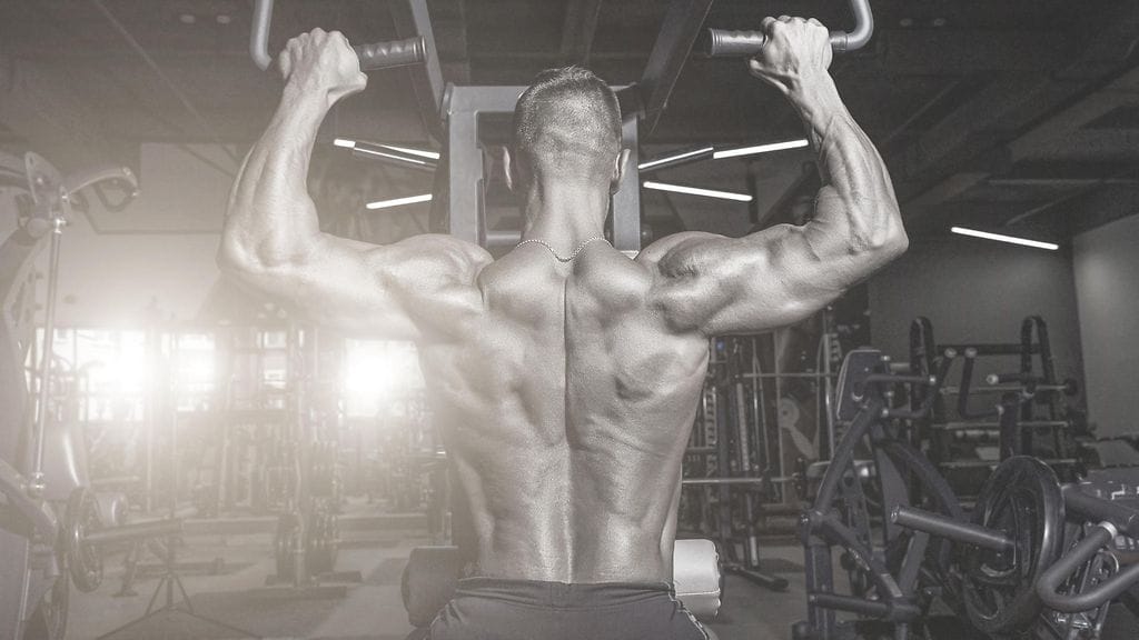 Brittiläinen kehonrakentaja on poissa. Kuvituskuva.