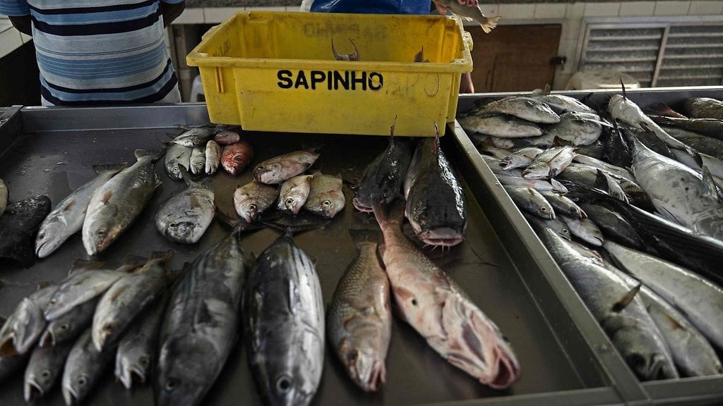 LK 13.9.2023 Kalasaalis myynnissä Copacabanan rannalla Rio de Janeirossa Brasiliassa 23. toukokuuta 2023.